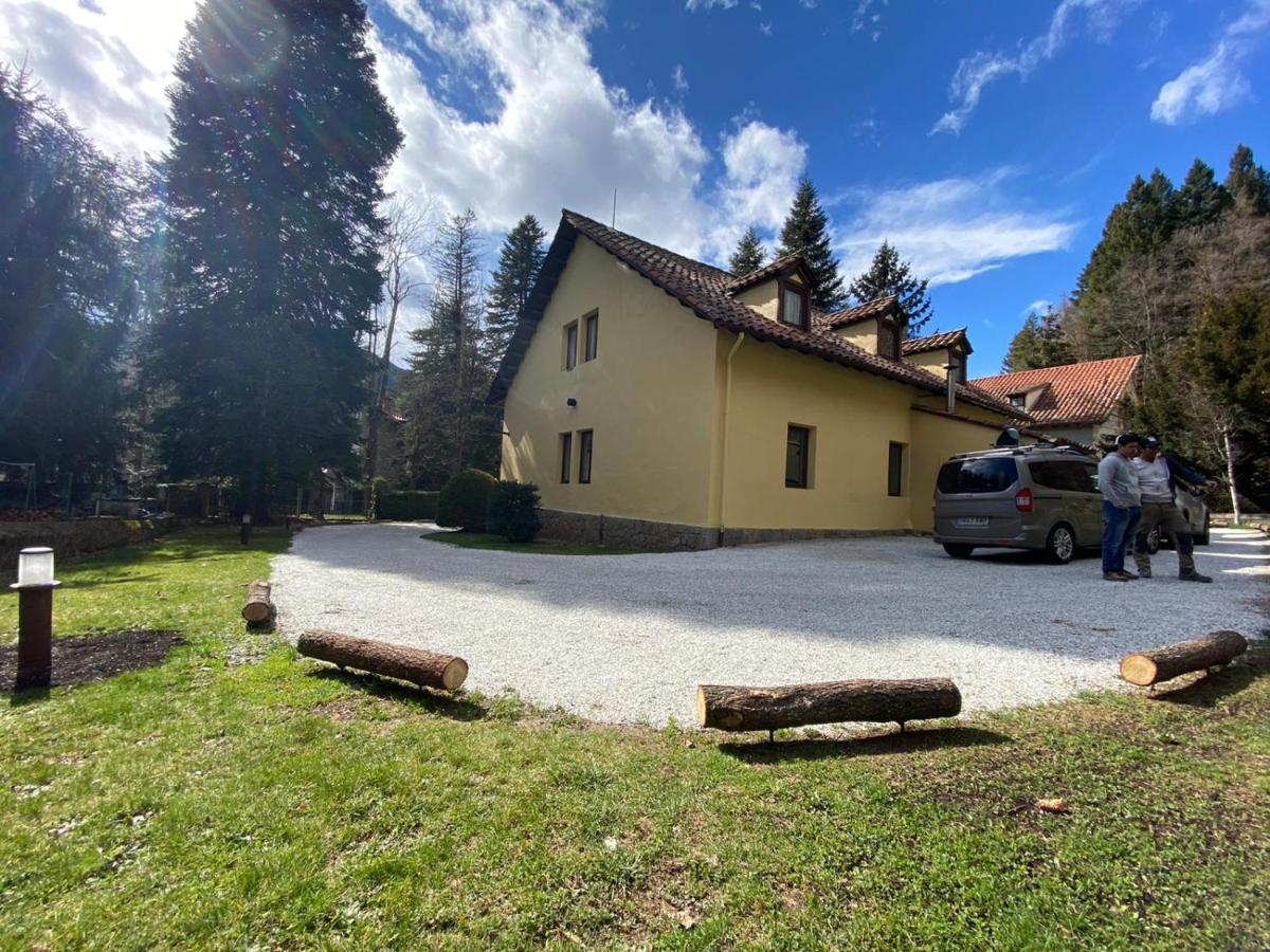 El Niu De L'Aguila Villa Camprodon Eksteriør billede